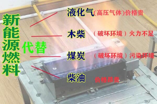 四川巴中明火點(diǎn)不燃生物植物油燃料耐用好燒 節(jié)能省錢